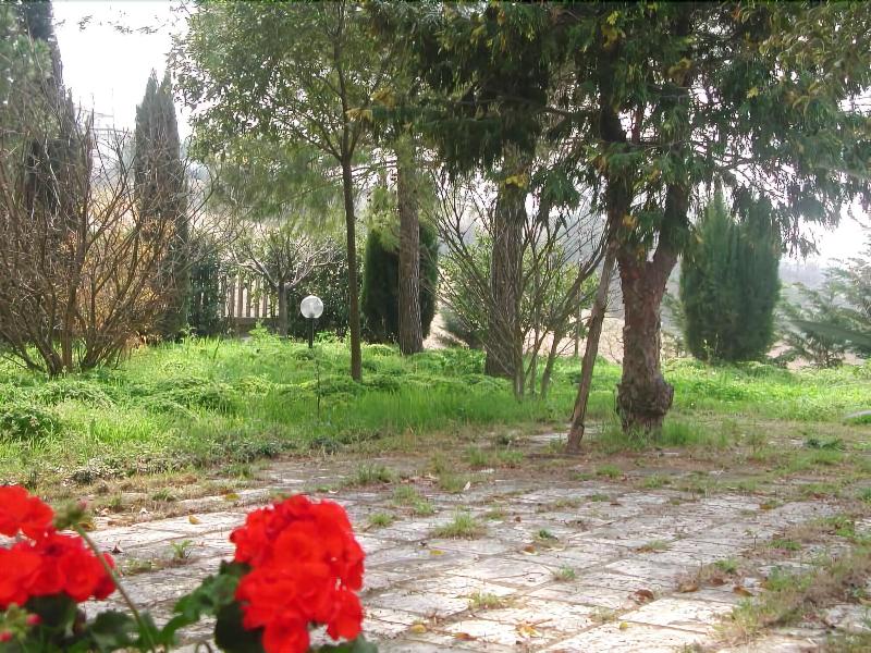 Bed & Breakfast Giardino Agritourist - Genel
