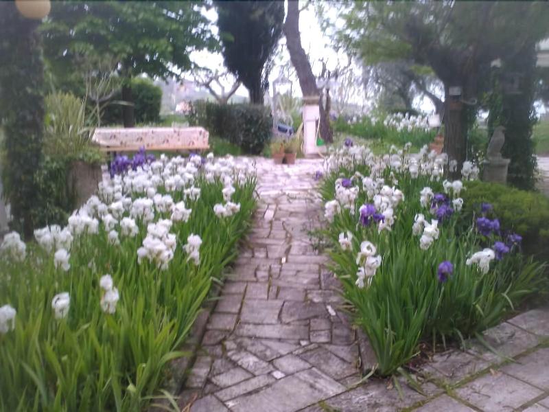 Bed & Breakfast Giardino Agritourist - Genel