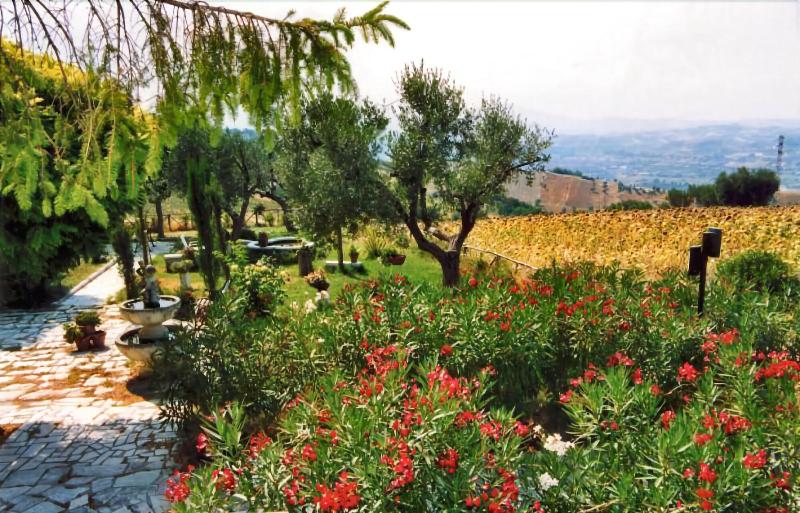 Bed & Breakfast Giardino Agritourist - Genel