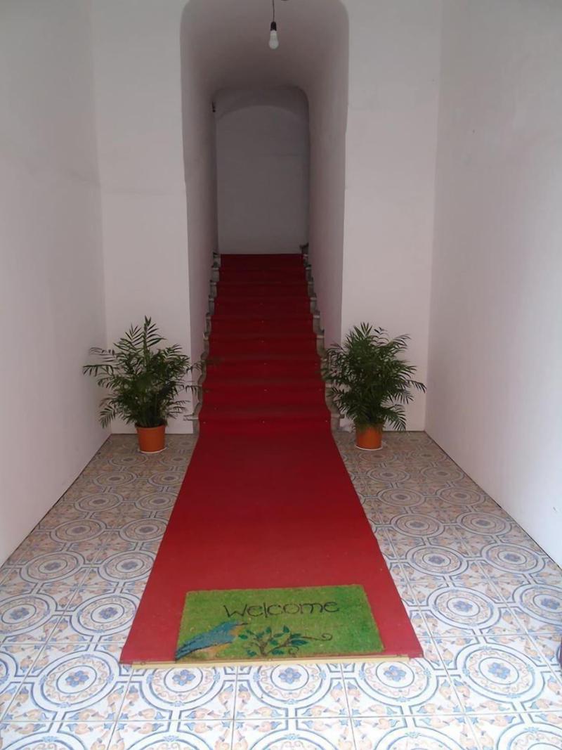 Bed & Breakfast Phenicusa - Lobi