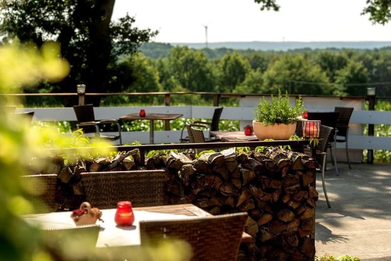 Berghotel Hohe Mark - Teras