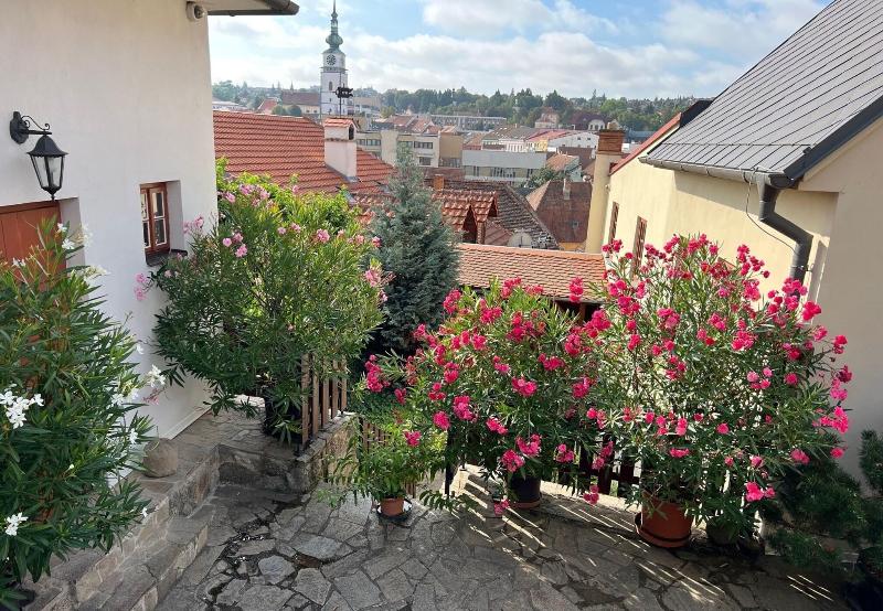 Hotel Joseph 1699 - Genel