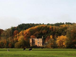Bickleigh Castle Hotel - Castle fotoÄŸrafÄ±