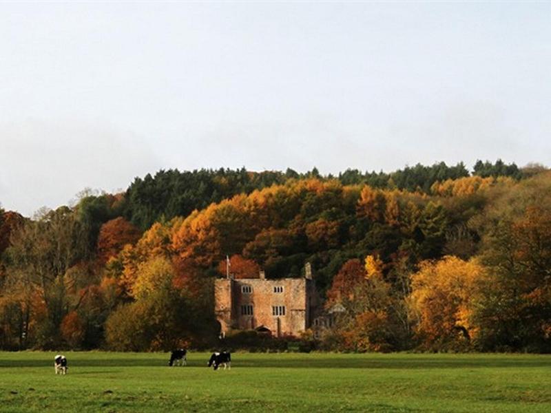Bickleigh Castle Hotel - Castle - Genel
