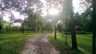 Ranong Resort And Laguna fotoÄŸrafÄ±