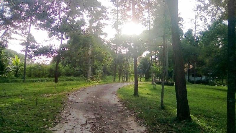 Ranong Resort And Laguna - Genel