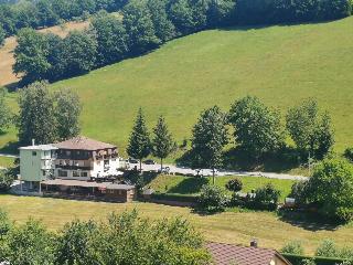 Hotel Landgasthof Grüner Baum fotoÄŸrafÄ±