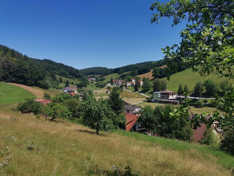 Hotel Landgasthof Grüner Baum - Genel