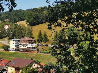 Hotel Landgasthof Grüner Baum fotoÄŸrafÄ±