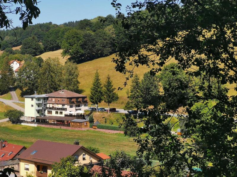 Hotel Landgasthof Grüner Baum - Genel