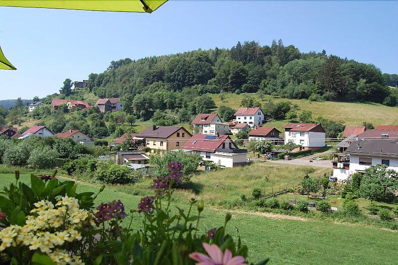 Hotel Landgasthof Grüner Baum - Genel