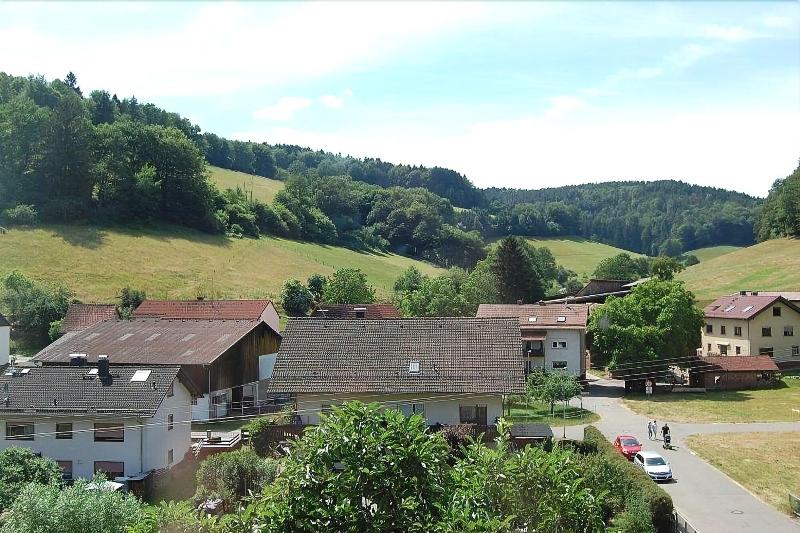 Hotel Landgasthof Grüner Baum - Genel