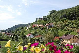 Hotel Landgasthof Grüner Baum fotoÄŸrafÄ±