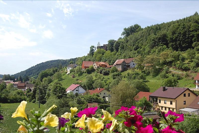 Hotel Landgasthof Grüner Baum - Oda