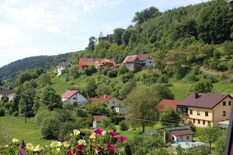 Hotel Landgasthof Grüner Baum - Oda