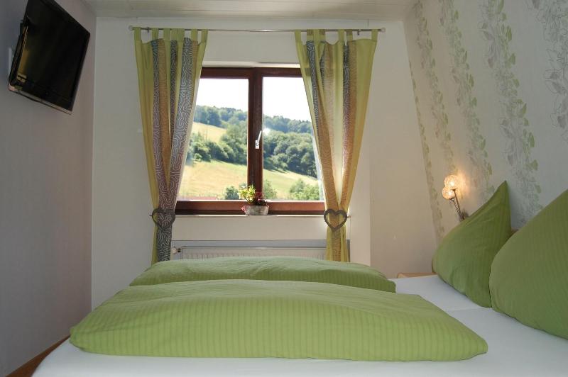 Hotel Landgasthof Grüner Baum - Oda