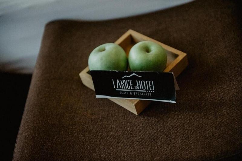 Hotel Larice Suite&Breakfast - Genel