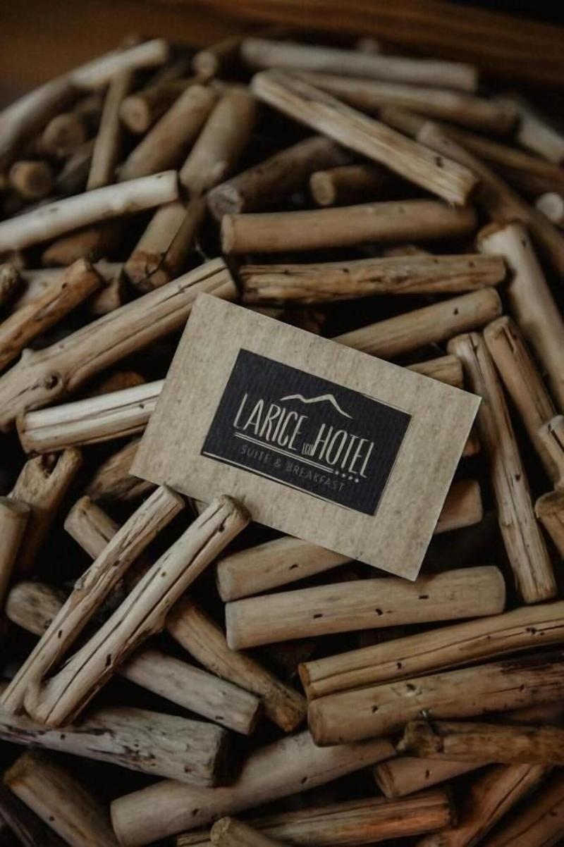 Hotel Larice Suite&Breakfast - Genel