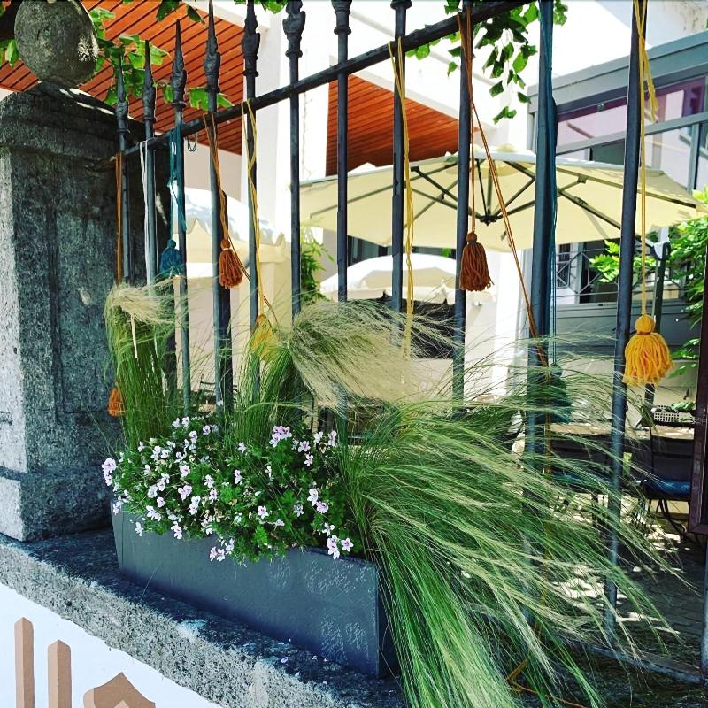 Hotel Le Rive Sud - Genel