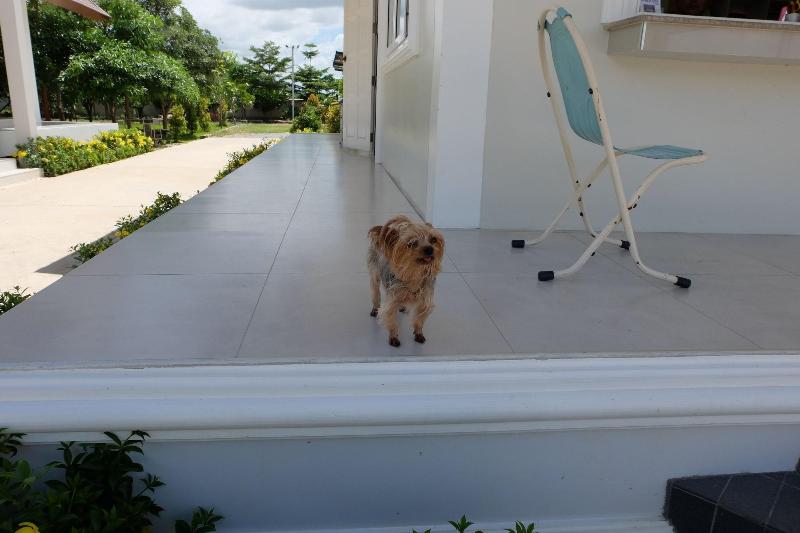 Bualuang Boutique Resort - Oda