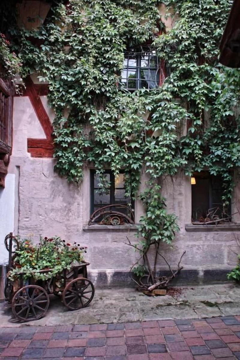Restaurant & Hotel Der Schwan - Genel