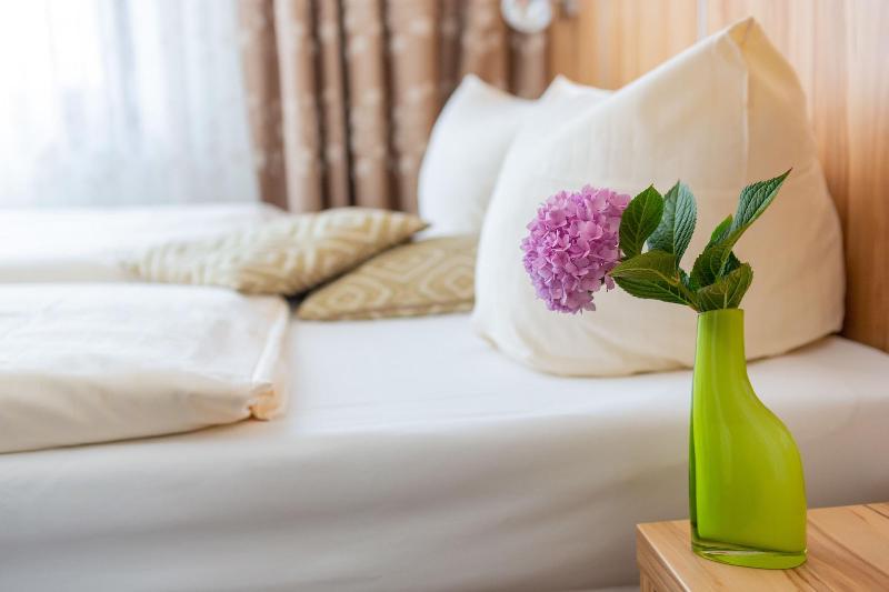 Hotel Reinhardtshof Garni - Oda
