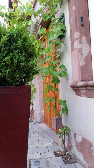 Hotel Restaurant Landgrafen-Mühle fotoÄŸrafÄ±