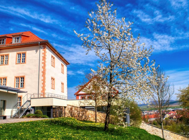 Schloss Geisa - Genel
