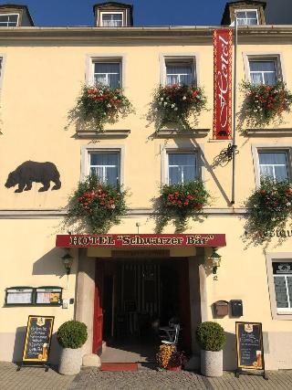 Schwarzer Bär fotoÄŸrafÄ±