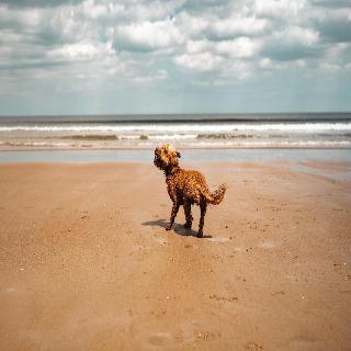 Classic Lodges Grinkle Park Easington fotoÄŸrafÄ±