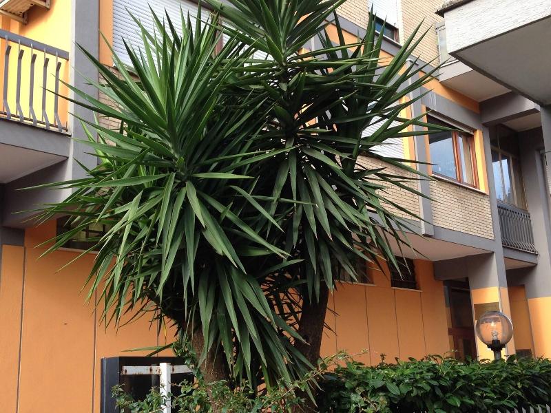 Hotel San Michele - Genel