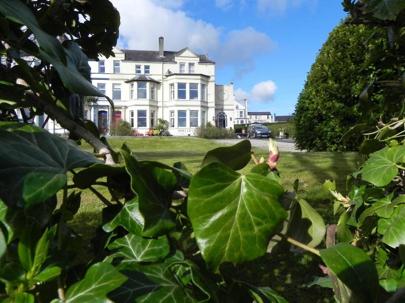Shelleven House - Genel
