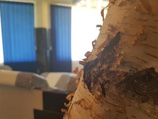 Hotel Zur Engelsburg fotoÄŸrafÄ±