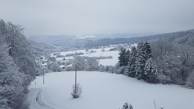 Hotel Zur Engelsburg - Genel