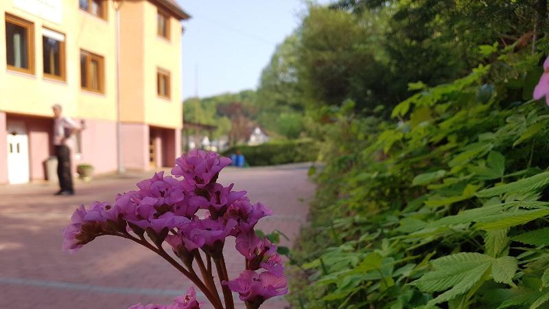 Hotel Zur Engelsburg - Genel