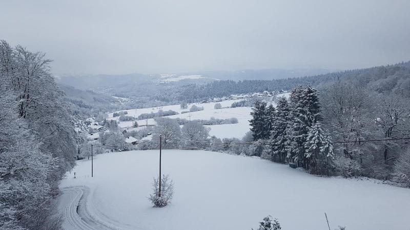 Hotel Zur Engelsburg - Genel