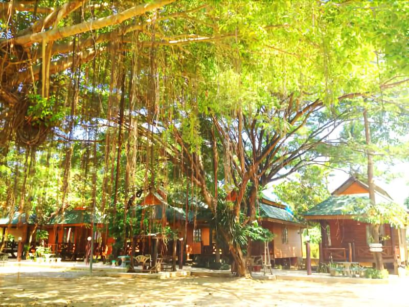 Sri Phairin Resort - Genel