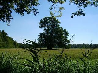 Jagdschloss Moenchbruch fotoÄŸrafÄ±
