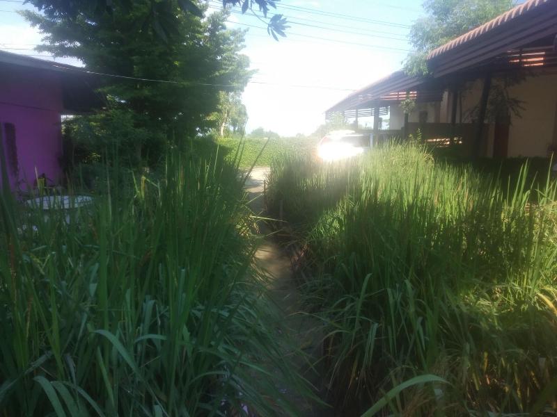 Dome Resort - Oda
