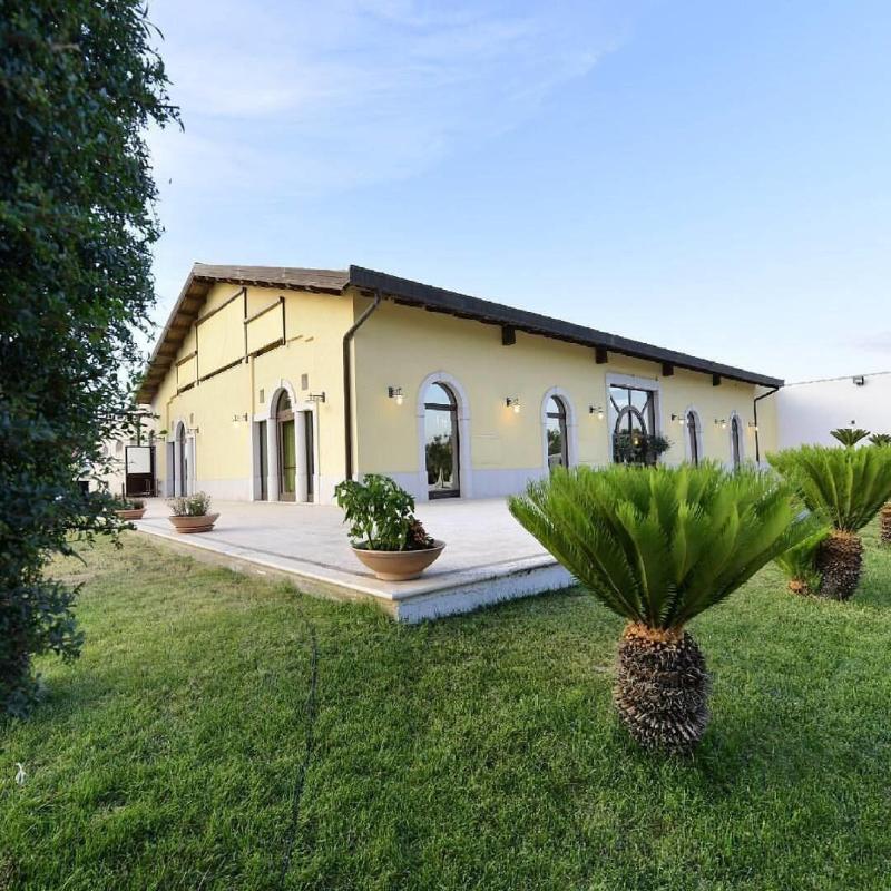 Tenuta Antico Leccio - Genel