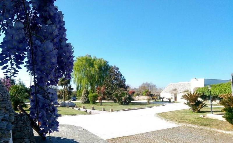 Tenuta Antico Leccio - Genel
