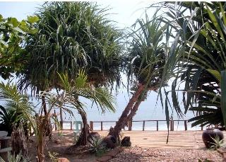 Jungle Bay Resort fotoÄŸrafÄ±