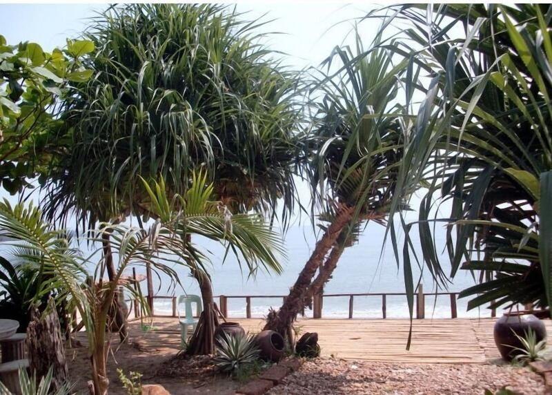 Jungle Bay Resort - Genel