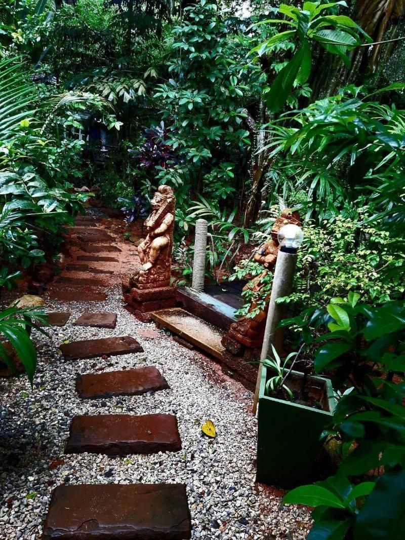 Jungle Bay Resort - Genel