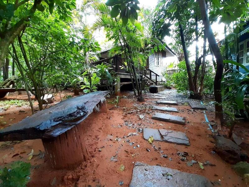 Jungle Bay Resort - Genel