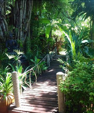 Jungle Bay Resort fotoÄŸrafÄ±