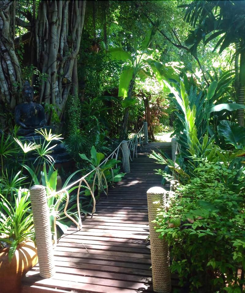 Jungle Bay Resort - Oda
