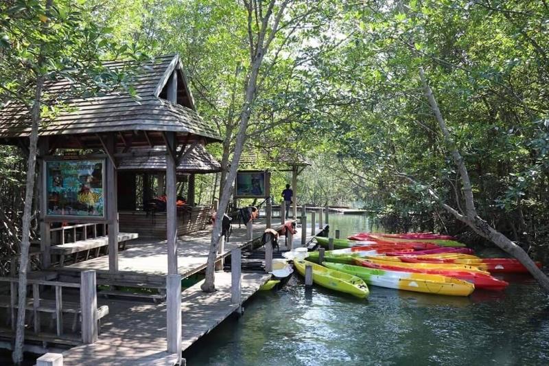 Jungle Bay Resort - Oda