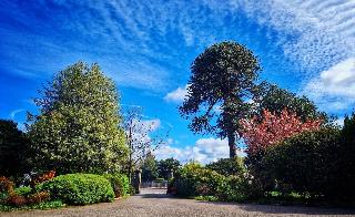 The Pines Guesthouse fotoÄŸrafÄ±