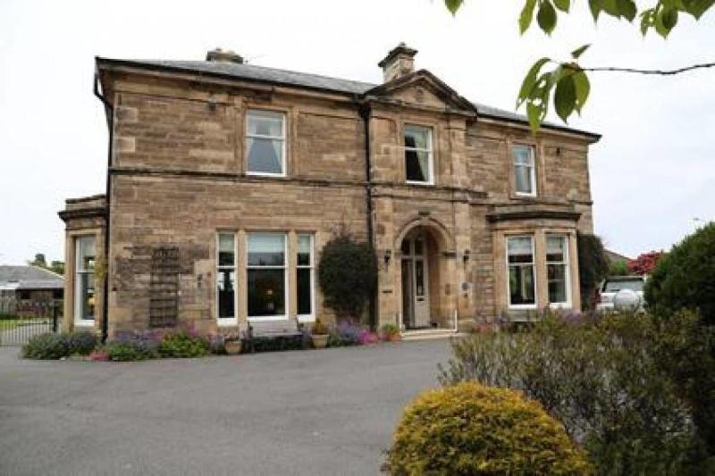 The Pines Guesthouse - Genel